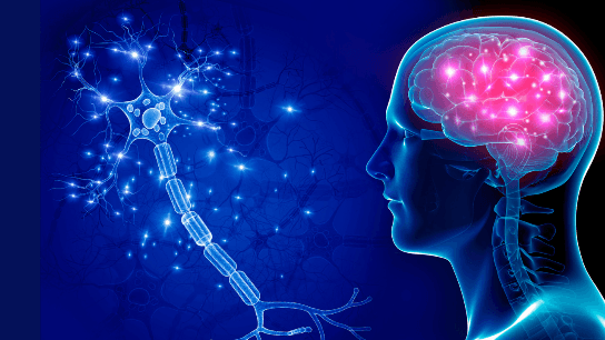 Fear and Anxiety: Brain Rewiring with Neuro-Psychology